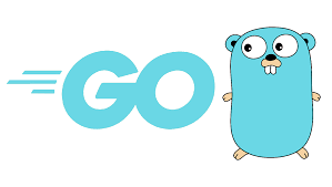 The Versatile init() Function in Go