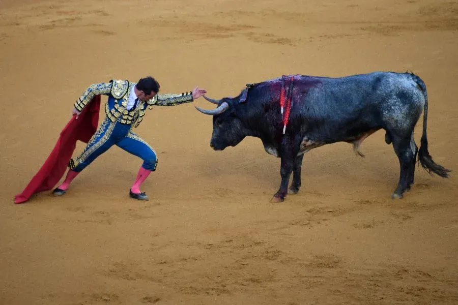 Spain abolishes bullfighting award